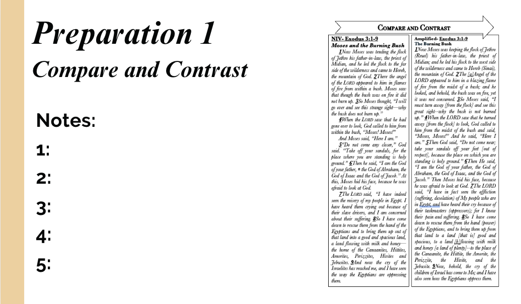 Vision: Learning to See God’s Fire Bundle