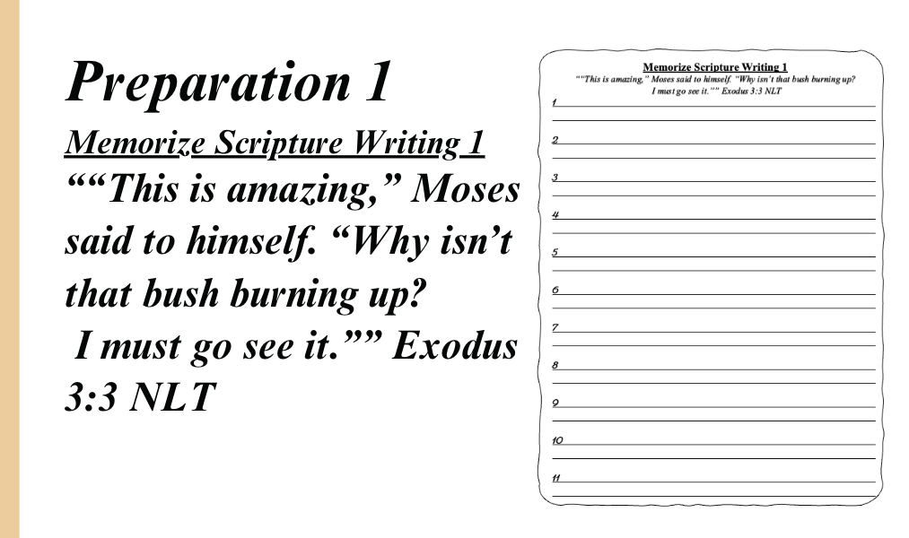 Vision: Learning to See God’s Fire Bundle